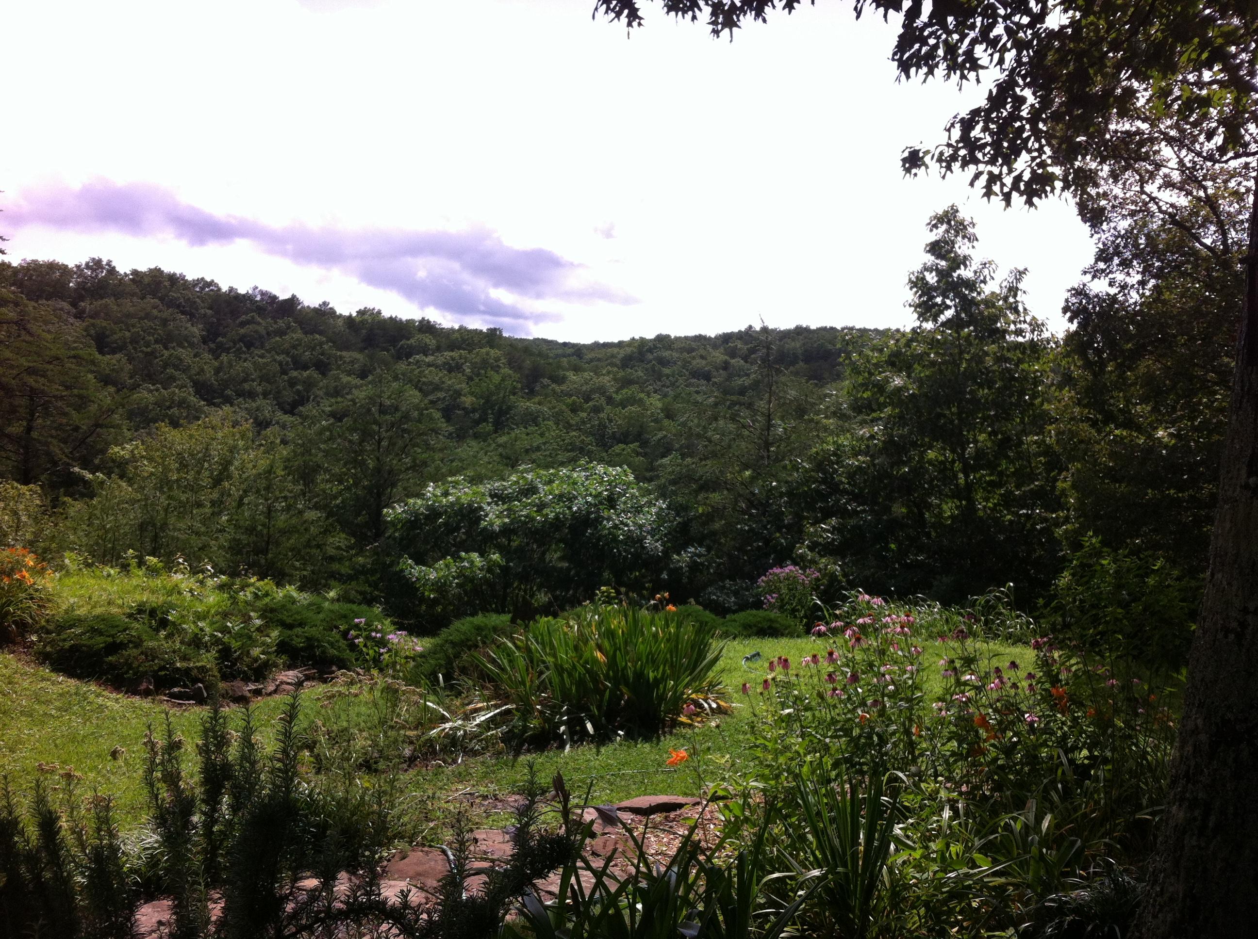 1956 Barker Camp Road Dunlap, TN 37327 - Photo 11 of 49 IMG_0096