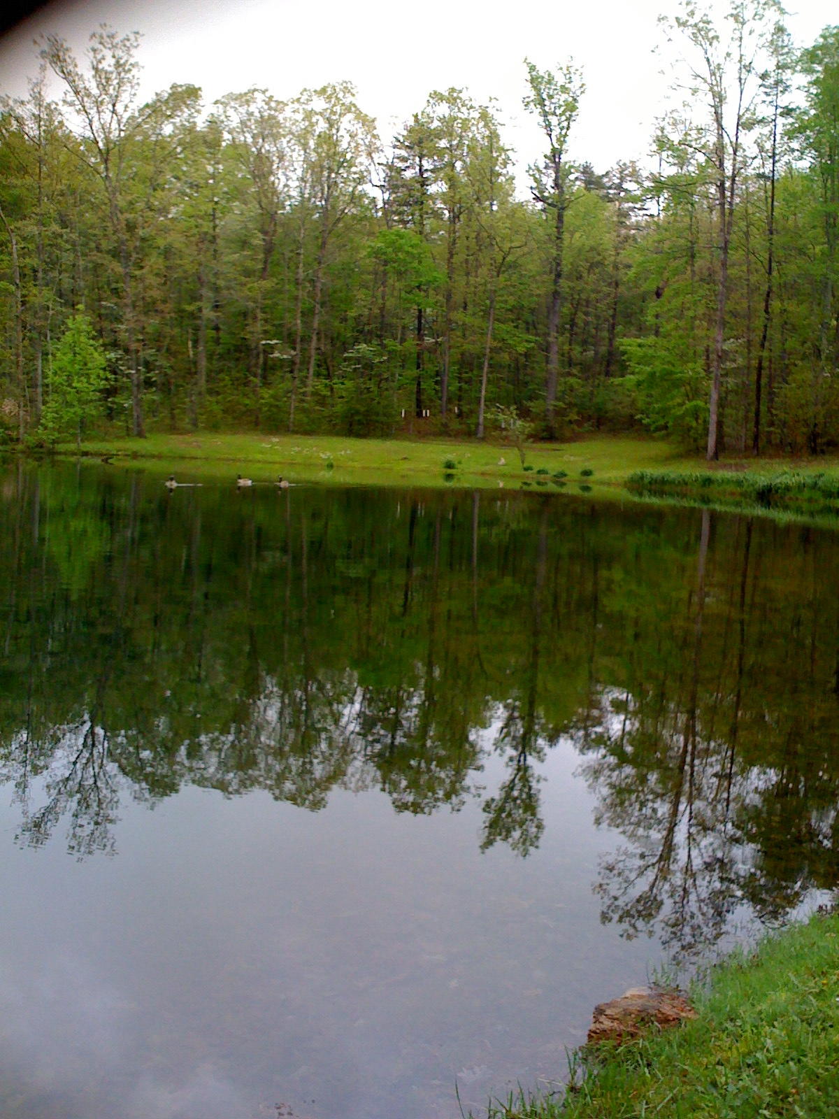 1956 Barker Camp Road Dunlap, TN 37327 - Photo 12 of 49 IMG_0110
