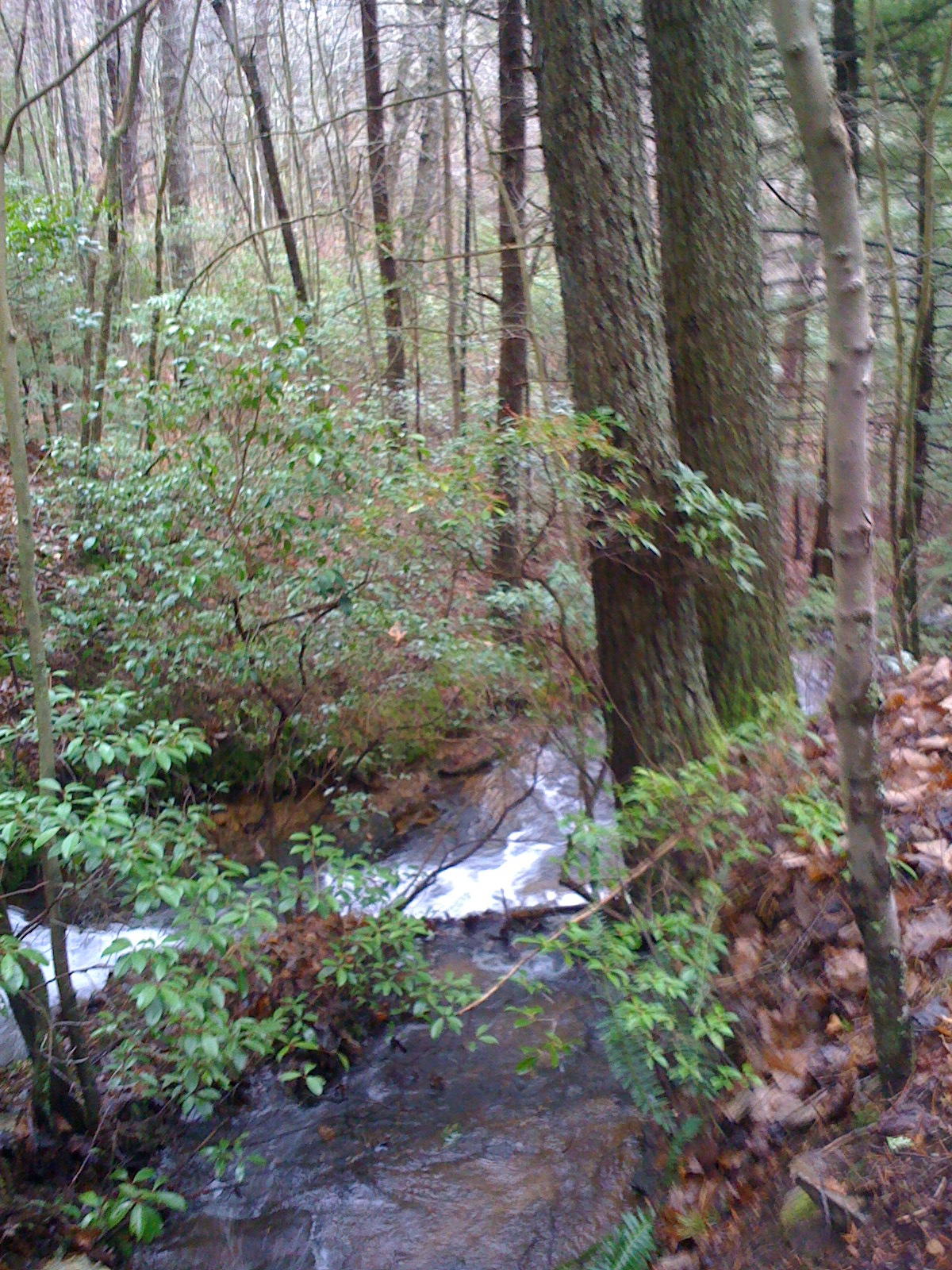 1956 Barker Camp Road Dunlap, TN 37327 - Photo 19 of 49 IMG_0229