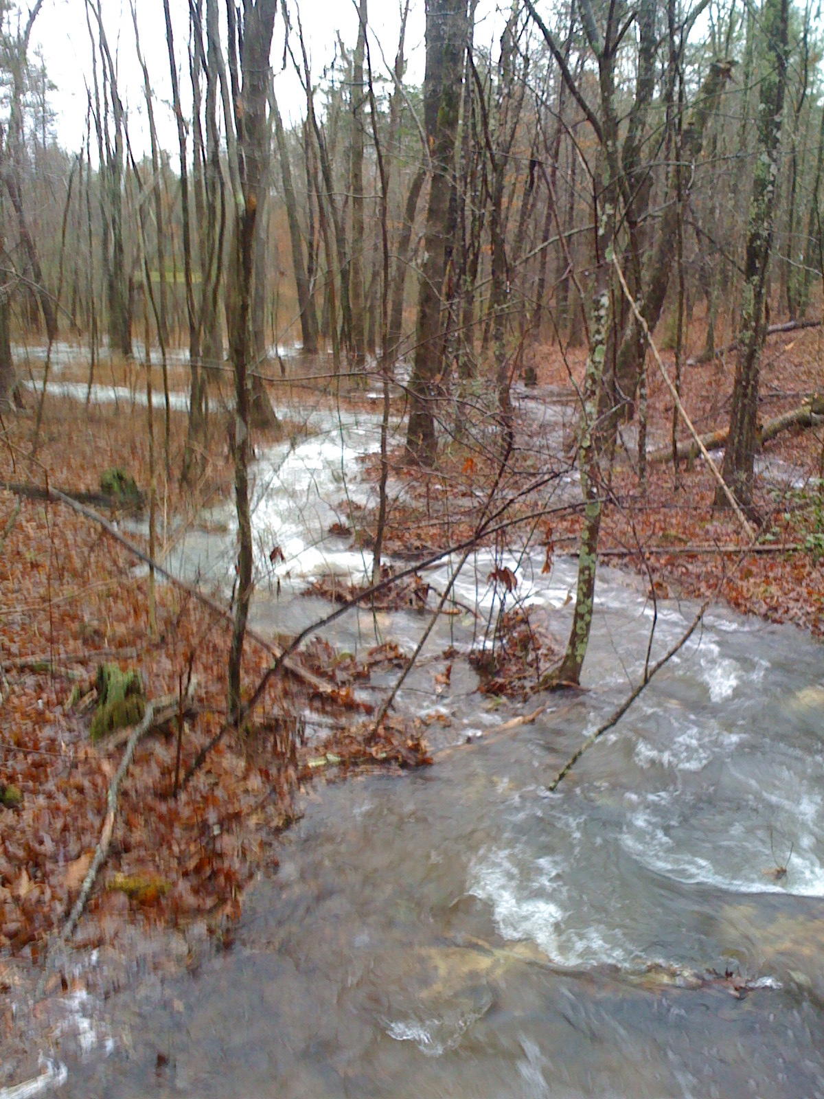 1956 Barker Camp Road Dunlap, TN 37327 - Photo 20 of 49 IMG_0261