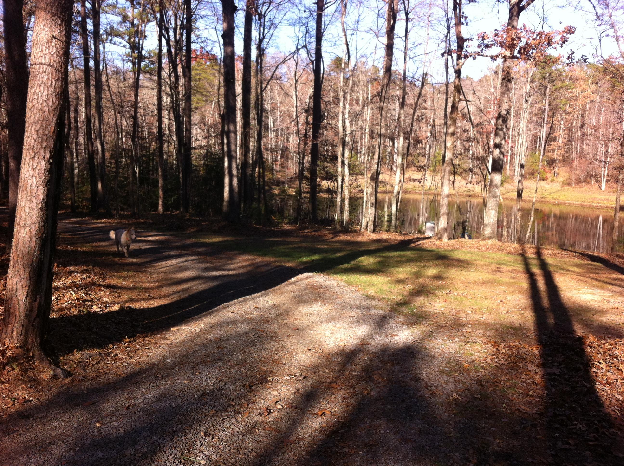1956 Barker Camp Road Dunlap, TN 37327 - Photo 21 of 49 IMG_0269