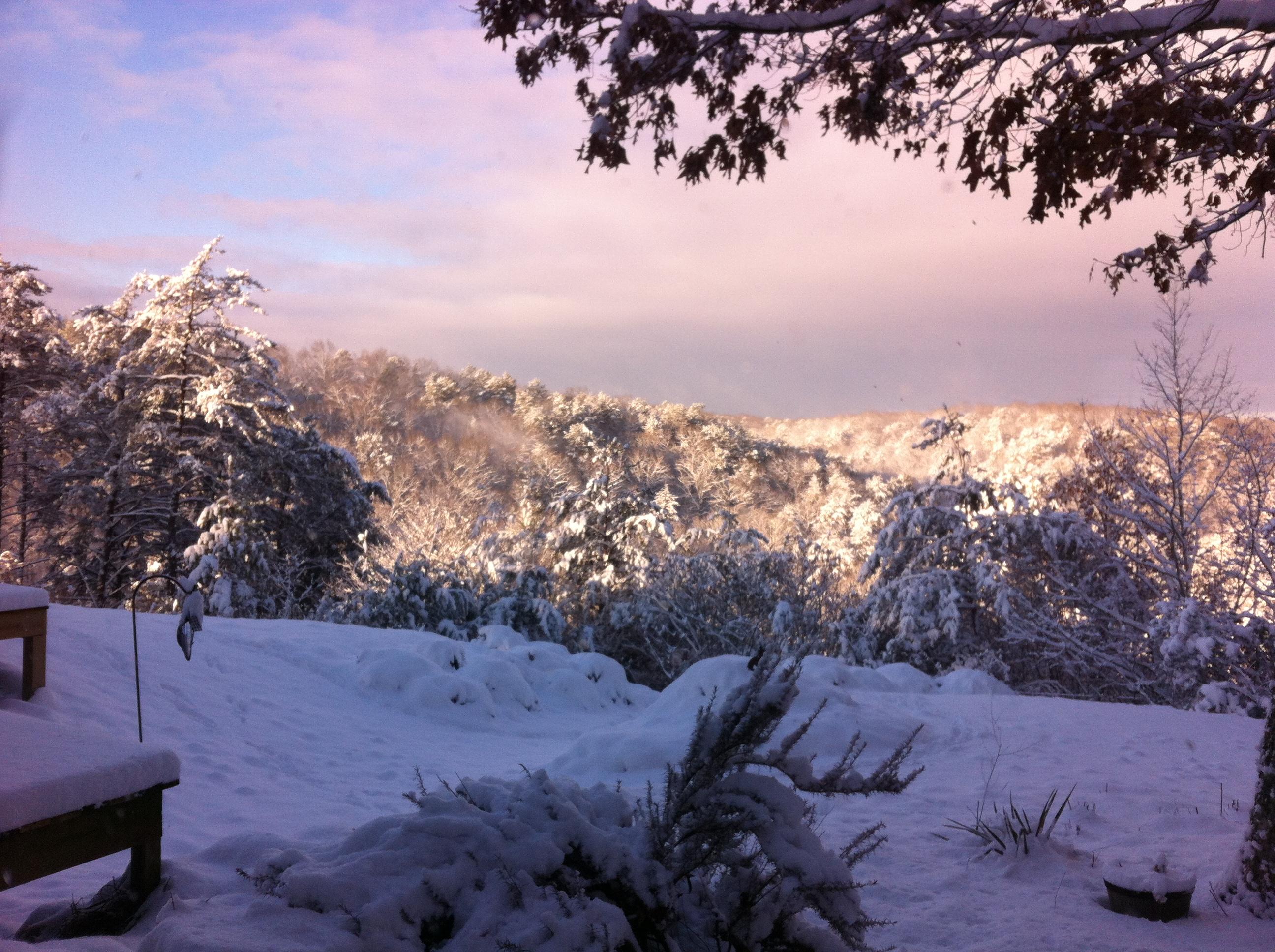 1956 Barker Camp Road Dunlap, TN 37327 - Photo 24 of 49 IMG_0395