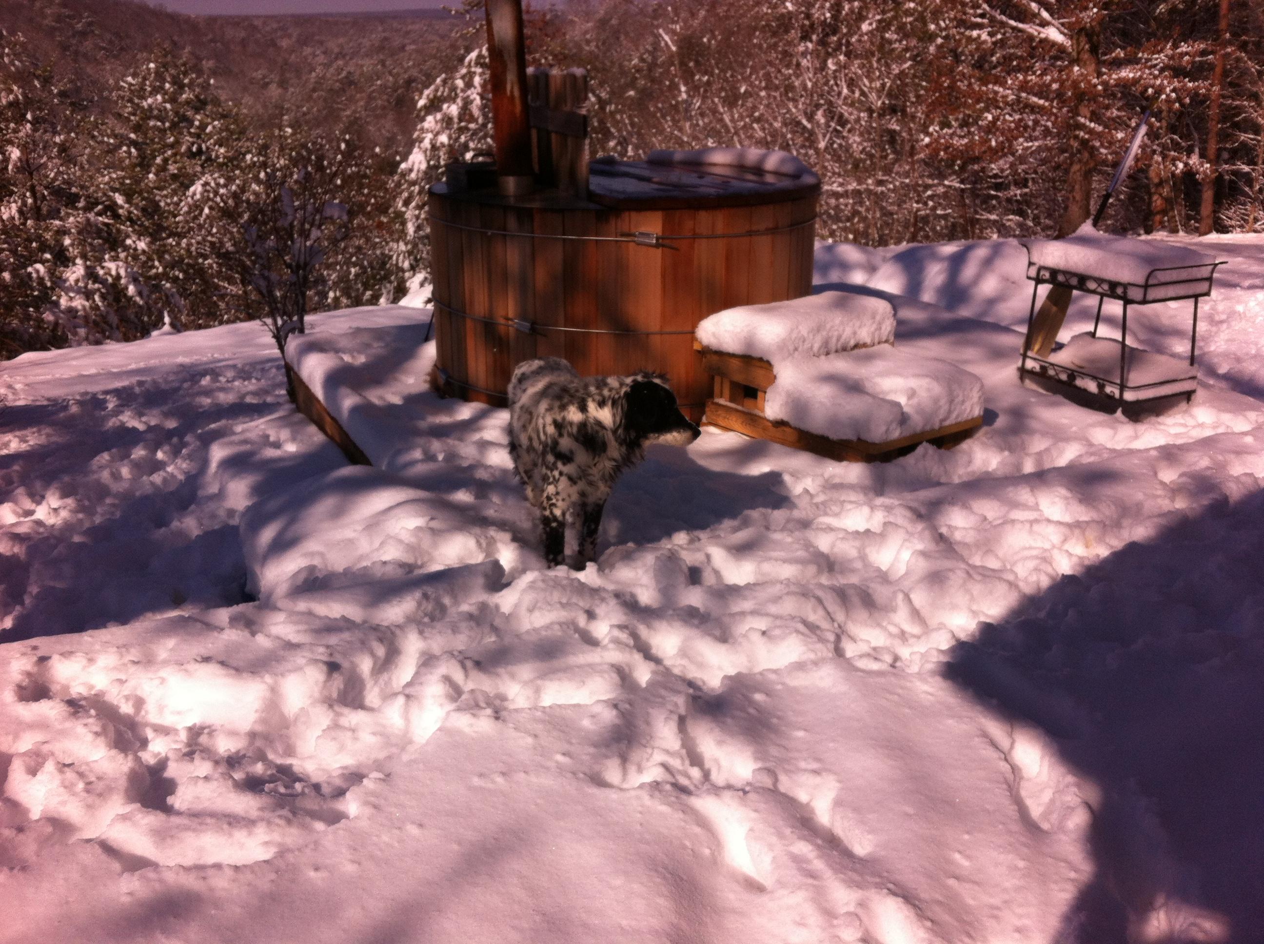 1956 Barker Camp Road Dunlap, TN 37327 - Photo 25 of 49 IMG_0431