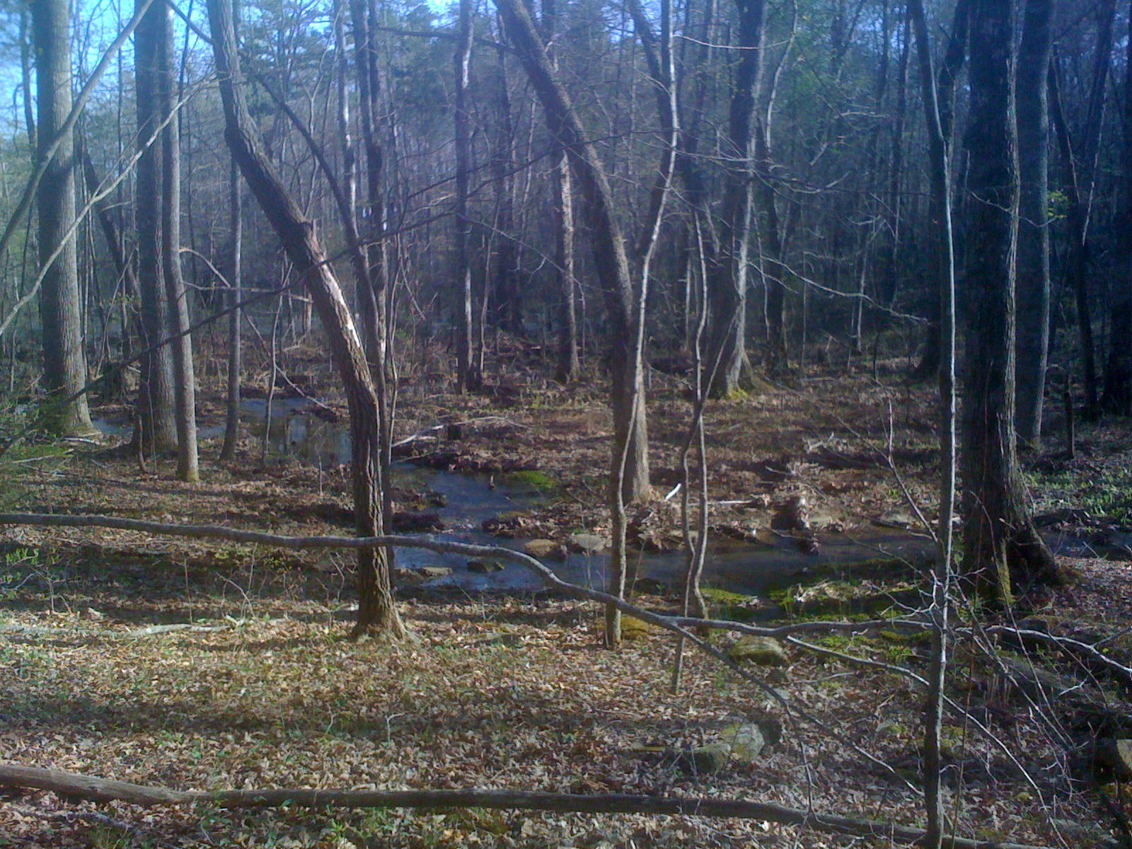 1956 Barker Camp Road Dunlap, TN 37327 - Photo 26 of 49 IMG_0513