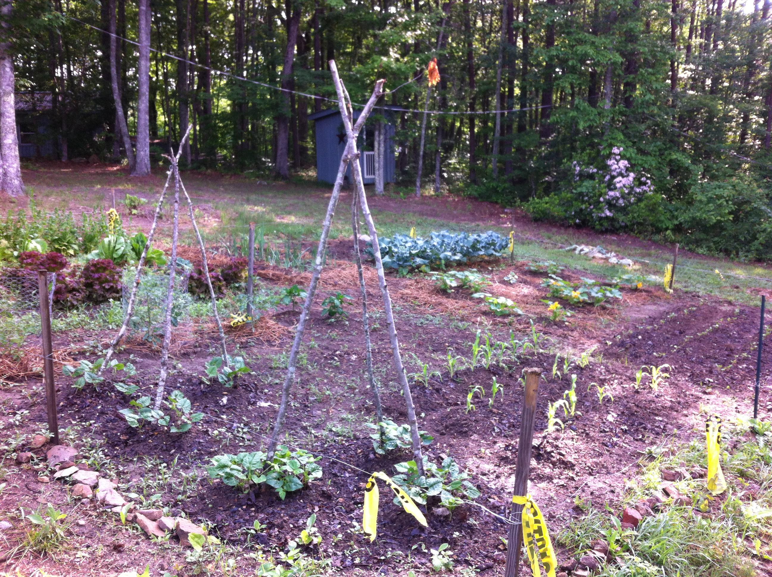 1956 Barker Camp Road Dunlap, TN 37327 - Photo 27 of 49 IMG_0523