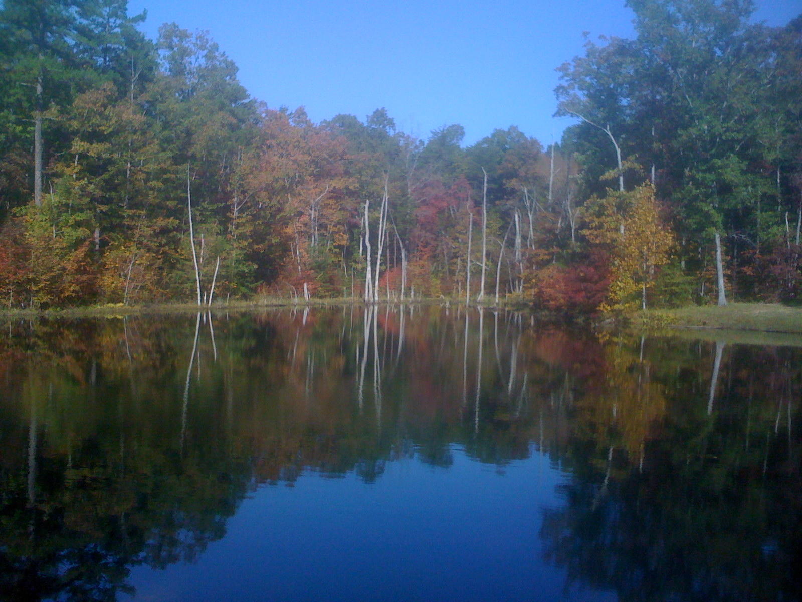 1956 Barker Camp Road Dunlap, TN 37327 - Photo 29 of 49 IMG_0821