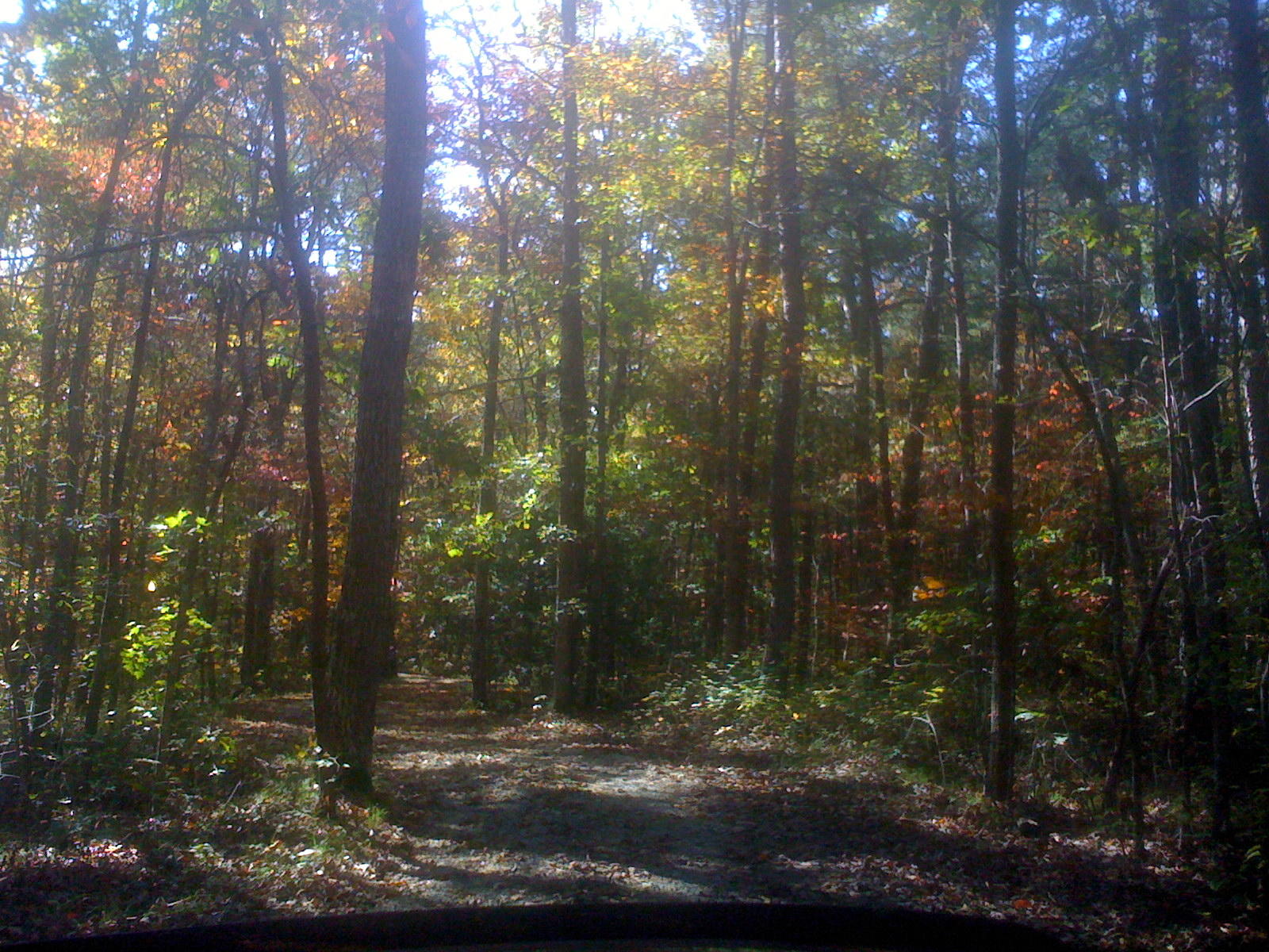 1956 Barker Camp Road Dunlap, TN 37327 - Photo 30 of 49 IMG_0840