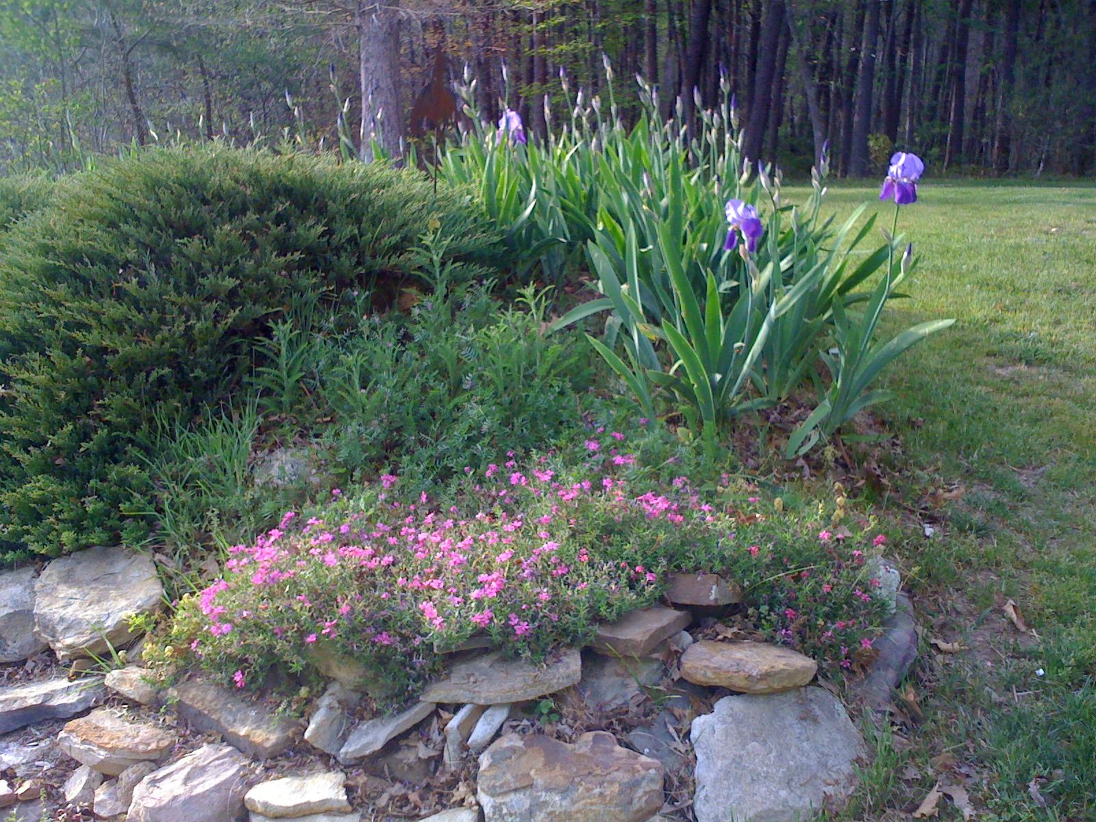 1956 Barker Camp Road Dunlap, TN 37327 - Photo 41 of 49 IMG_1075