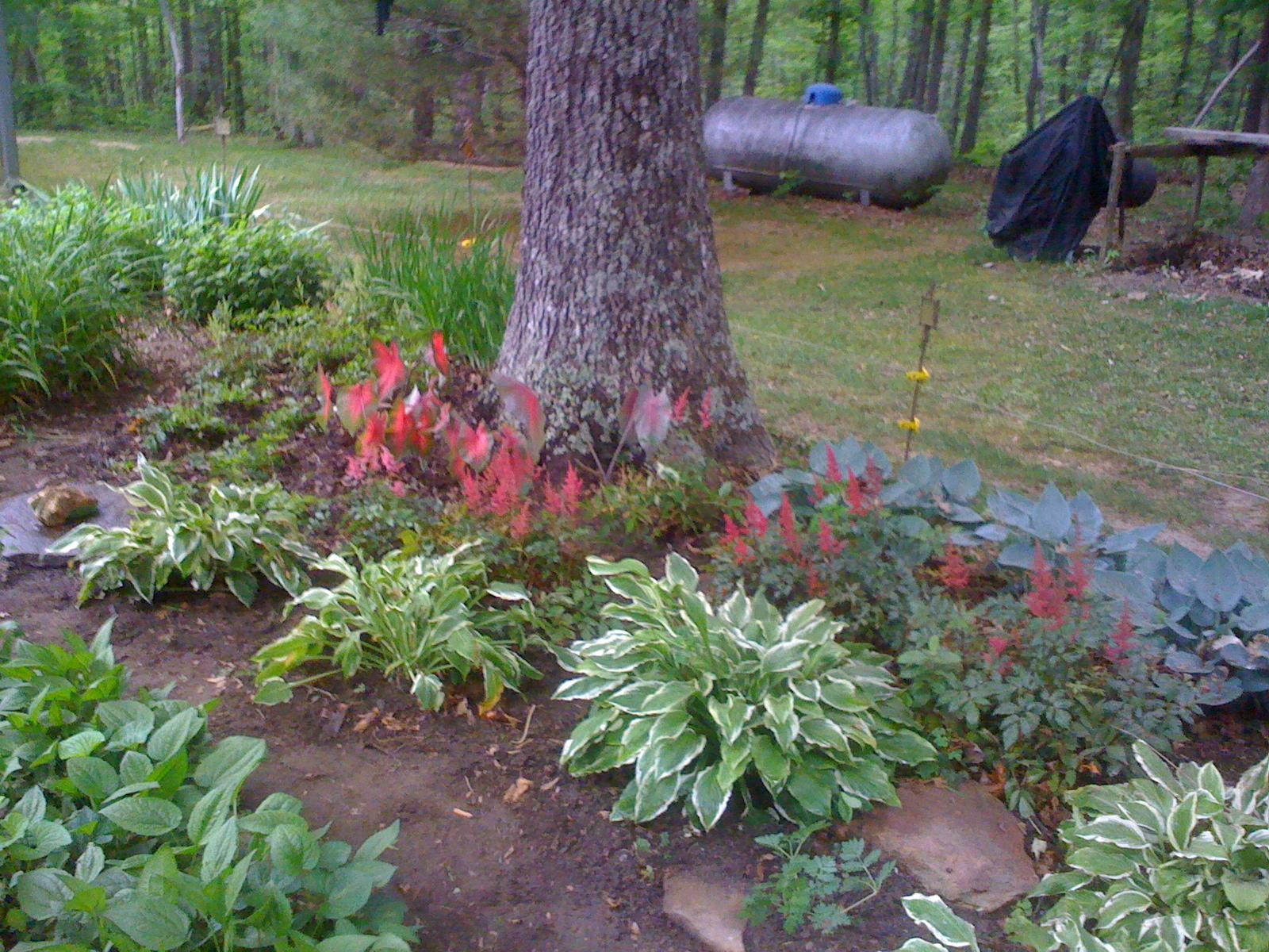 1956 Barker Camp Road Dunlap, TN 37327 - Photo 42 of 49 IMG_1144