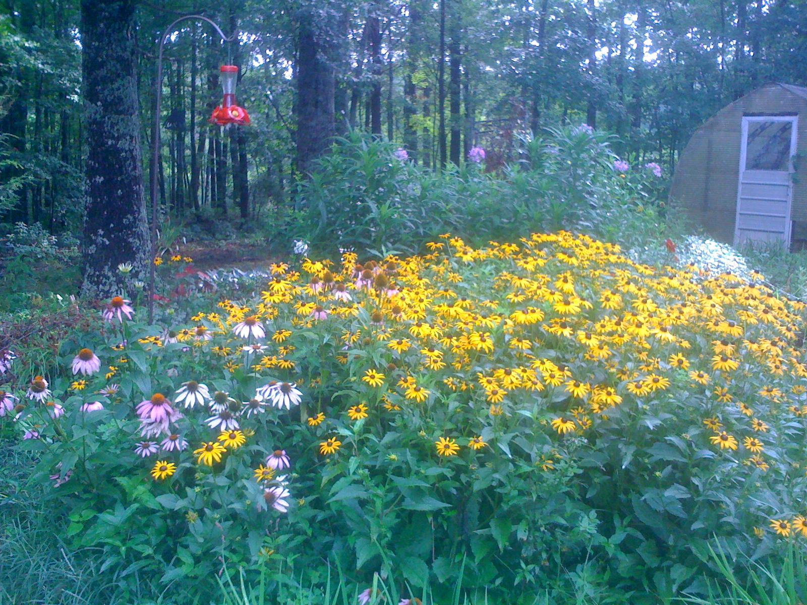 1956 Barker Camp Road Dunlap, TN 37327 - Photo 44 of 49 IMG_1258