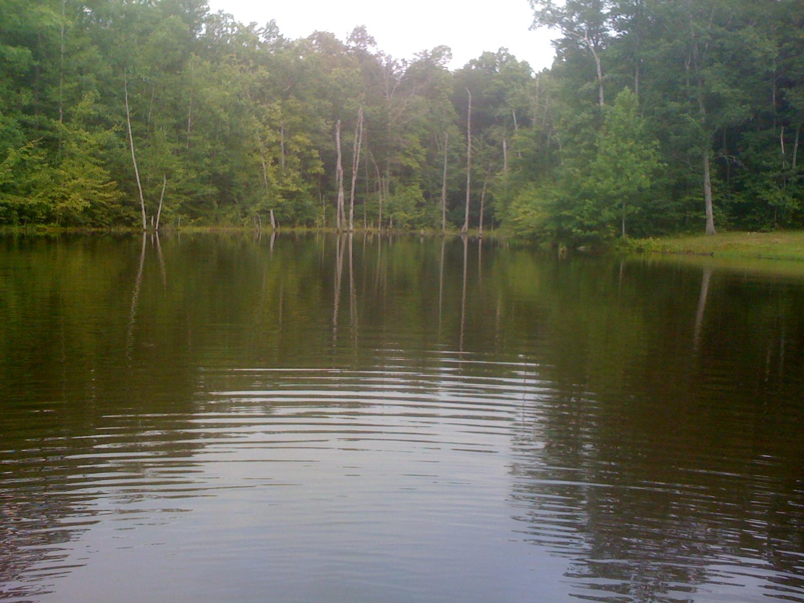 1956 Barker Camp Road Dunlap, TN 37327 - Photo 46 of 49 IMG_1288