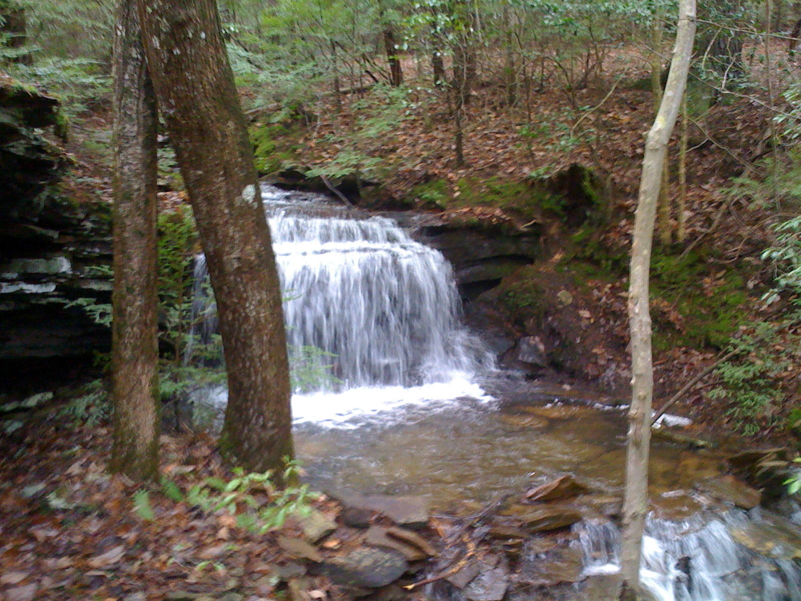 1956 Barker Camp Road Dunlap, TN 37327 - Photo 6 of 49 IMG_0228