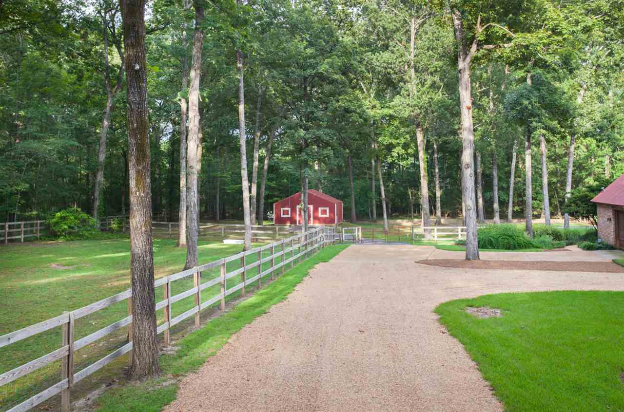 334 Whippoorwill Lane Ridgeland, MS 39157 - Photo 43 of 50 Photo 43