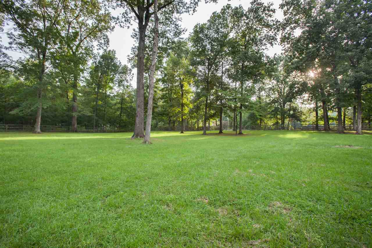 334 Whippoorwill Lane Ridgeland, MS 39157 - Photo 47 of 50 Photo 47
