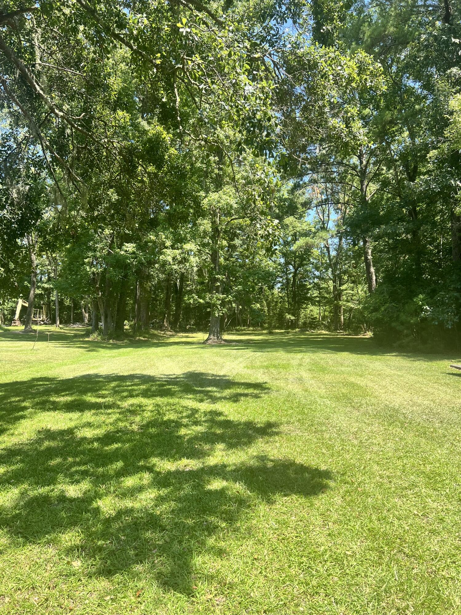 6513 Toogoodoo Road Meggett, SC 29449 - Photo 3 of 30 6513 green grass back lot