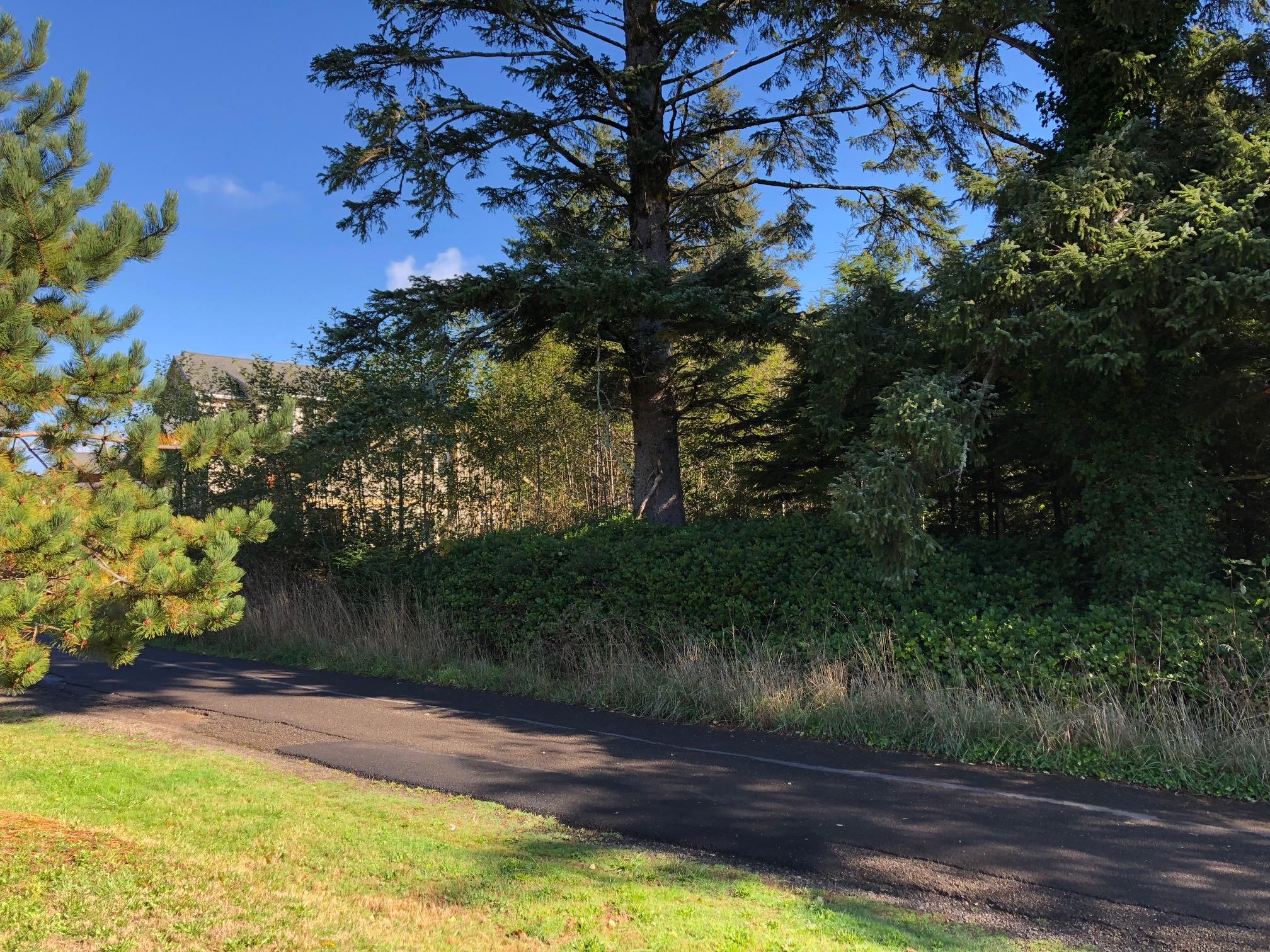Lot 906 Old Netarts Road Tillamook, OR 97141 - Photo 2 of 5 Lot