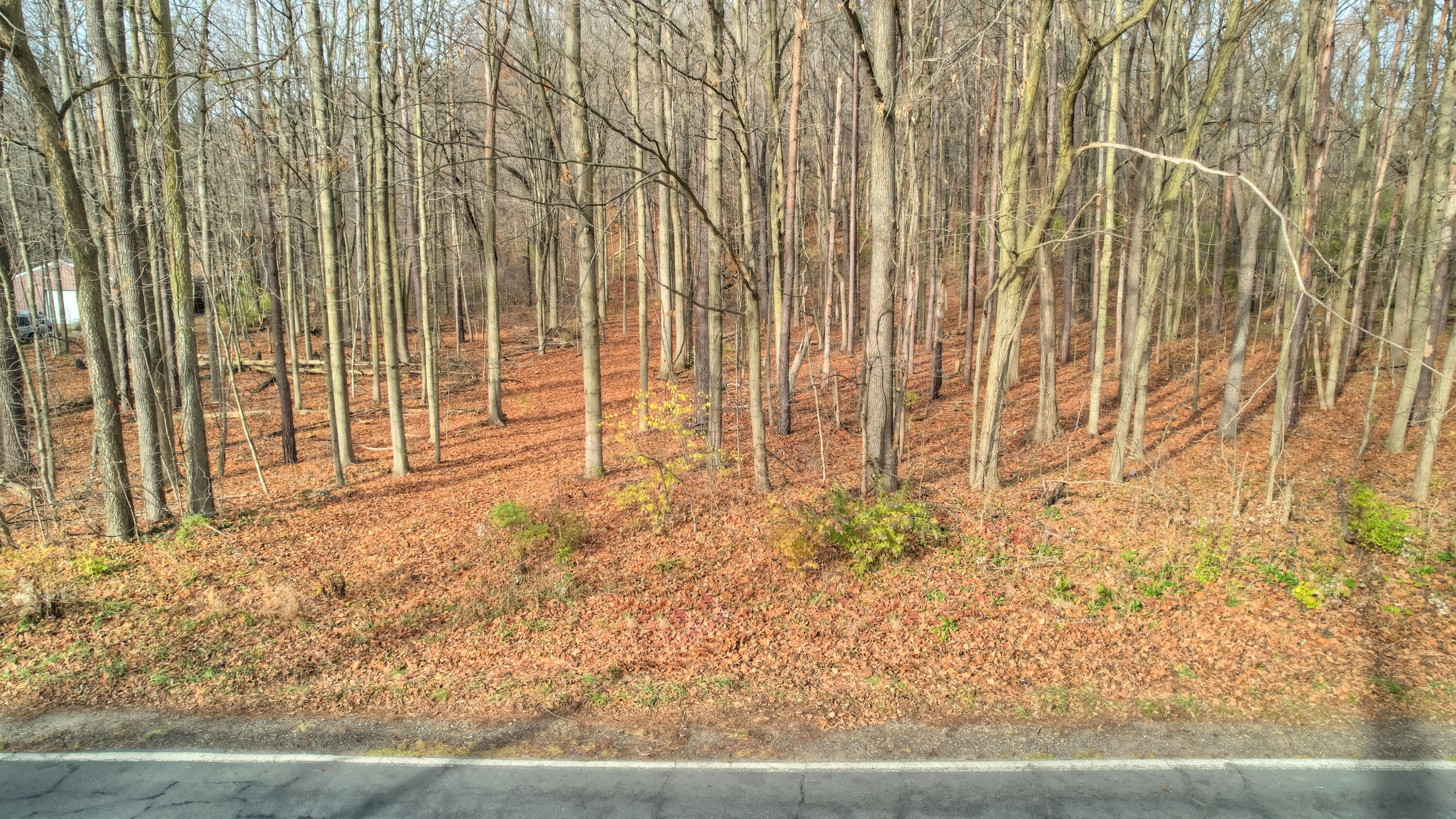 3615 Allegan Dam Road, Unit LOT B Allegan, MI 49010 - Photo 3 of 11 DJI_0437_38_39_40_41