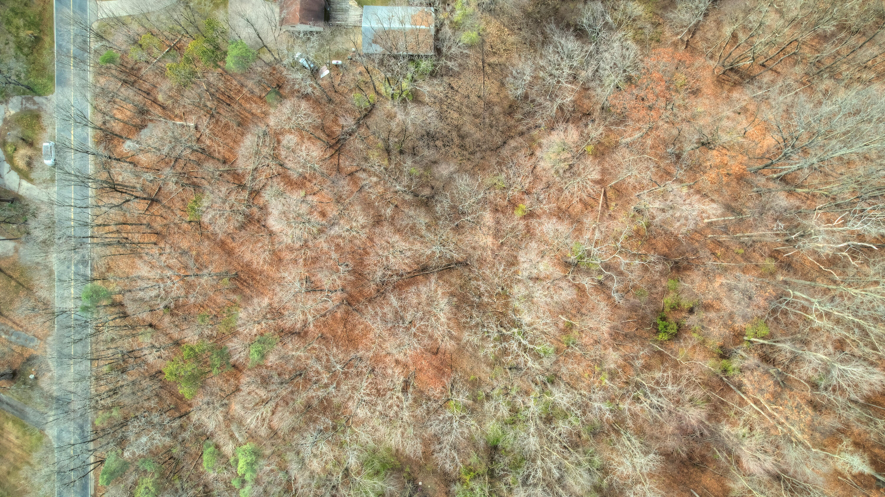 3615 Allegan Dam Road, Unit LOT B Allegan, MI 49010 - Photo 9 of 11 DJI_0487_88_89_90_91