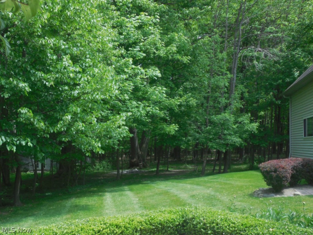 7071 Liberty Road Solon, OH 44139 - Photo 22 of 25 Lush green yard with no direct neighbors behind.