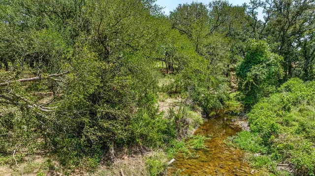 a view of outdoor space and trees