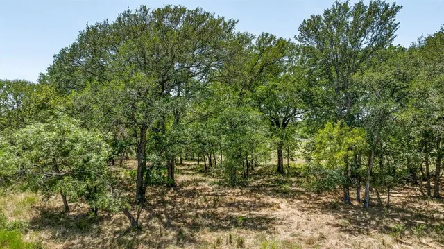 a view of a yard with an outdoor space