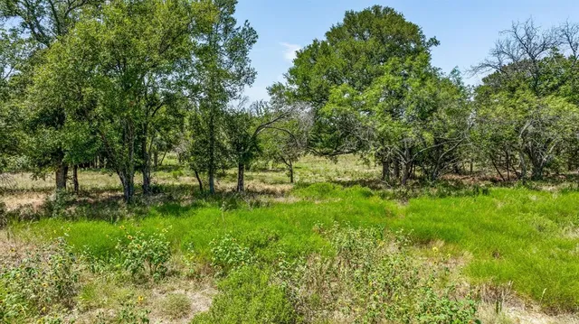 a view of a lake from a window