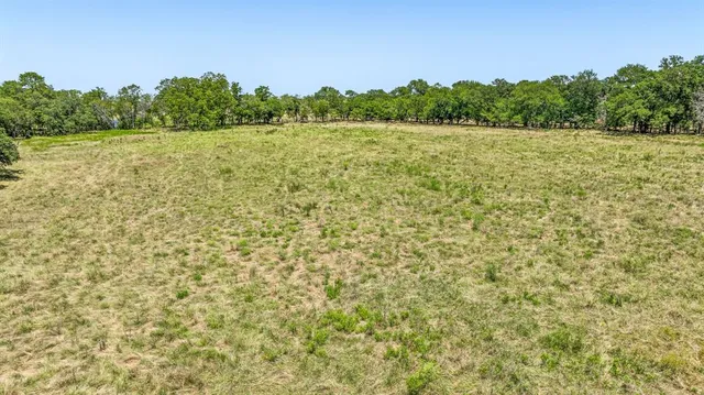 a view of a lush green forest