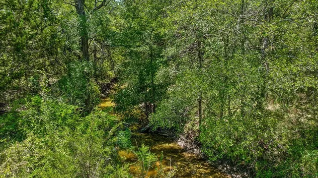 a view of outdoor space and trees