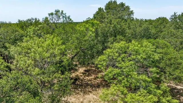 a view of a pathway with a yard