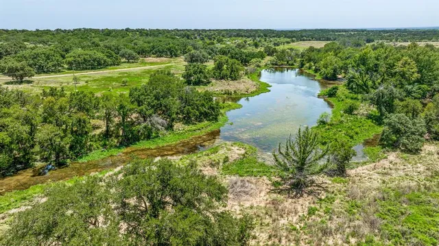 a view of a park with large trees