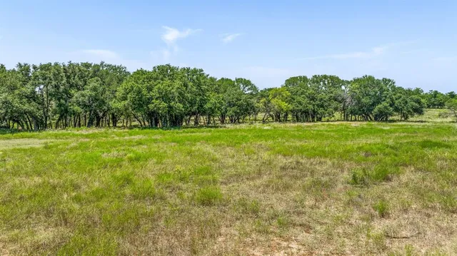 a view of a grassy field with trees in the background