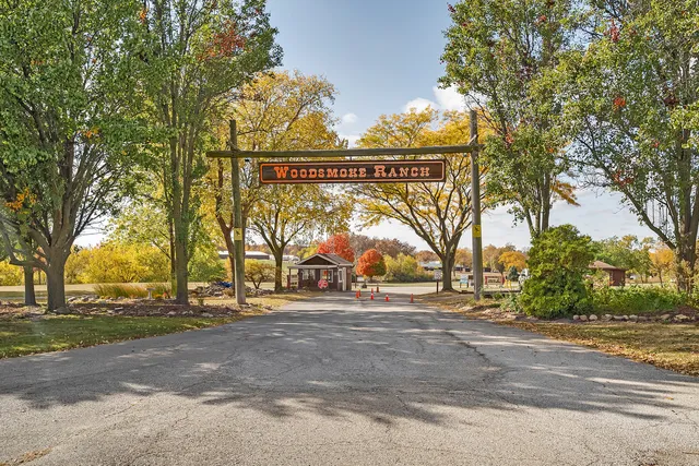a view of a park with large trees