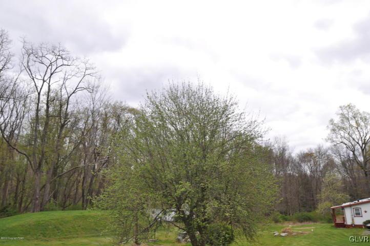 259 Wieboldt Road Cresco, PA 18326 - Photo 13 of 16 a view of a yard with an trees