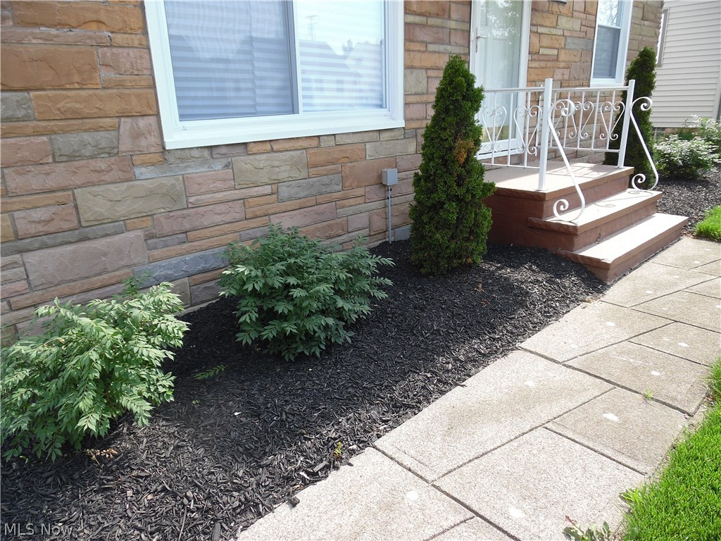 13414 Havana Road Cleveland, OH 44125 - Photo 4 of 21