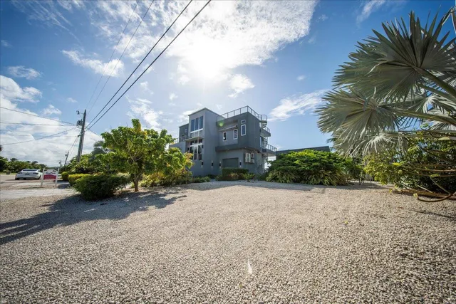 a view of a pathway with flower plants