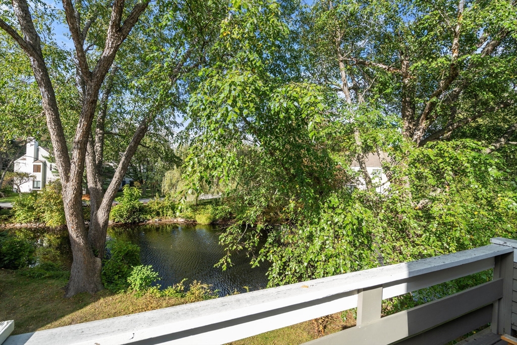 22 Concord Greene, Unit 2 Concord, MA 01742 - Photo 27 of 36 a view of lake from window