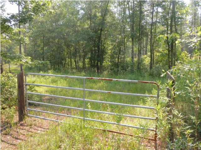 0 Fisher Road Varnville, SC 29944 - Photo 1 of 14 Primary Photo