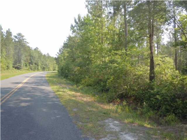 0 Fisher Road Varnville, SC 29944 - Photo 2 of 14 Additional Photo