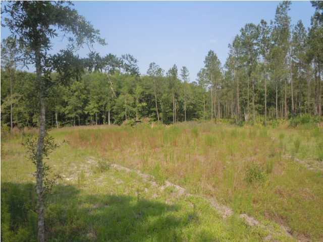 0 Fisher Road Varnville, SC 29944 - Photo 11 of 14 Additional Photo