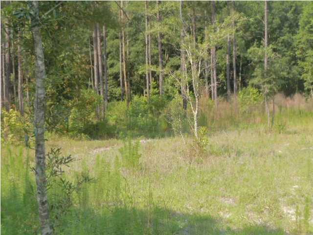 0 Fisher Road Varnville, SC 29944 - Photo 12 of 14 Additional Photo