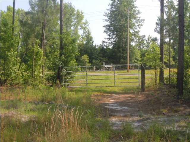 0 Fisher Road Varnville, SC 29944 - Photo 13 of 14 Additional Photo