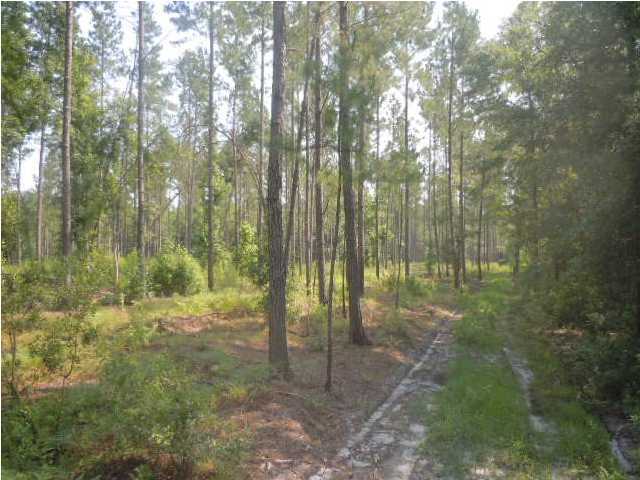 0 Fisher Road Varnville, SC 29944 - Photo 4 of 14 Additional Photo
