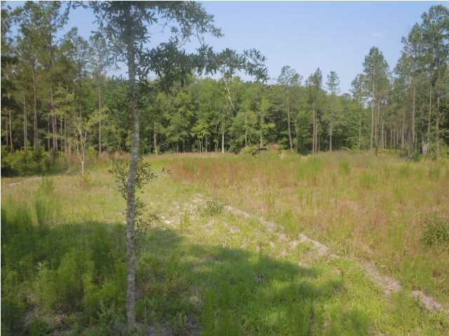 0 Fisher Road Varnville, SC 29944 - Photo 10 of 14 Additional Photo