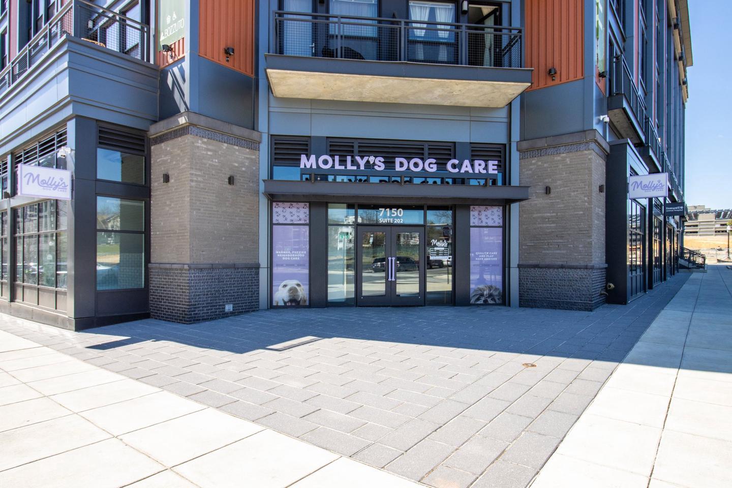 7175 12th Street Northwest, Unit 302 Washington, DC 20012 - Photo 49 of 54 Pet-friendly building with doggy day care closeby!