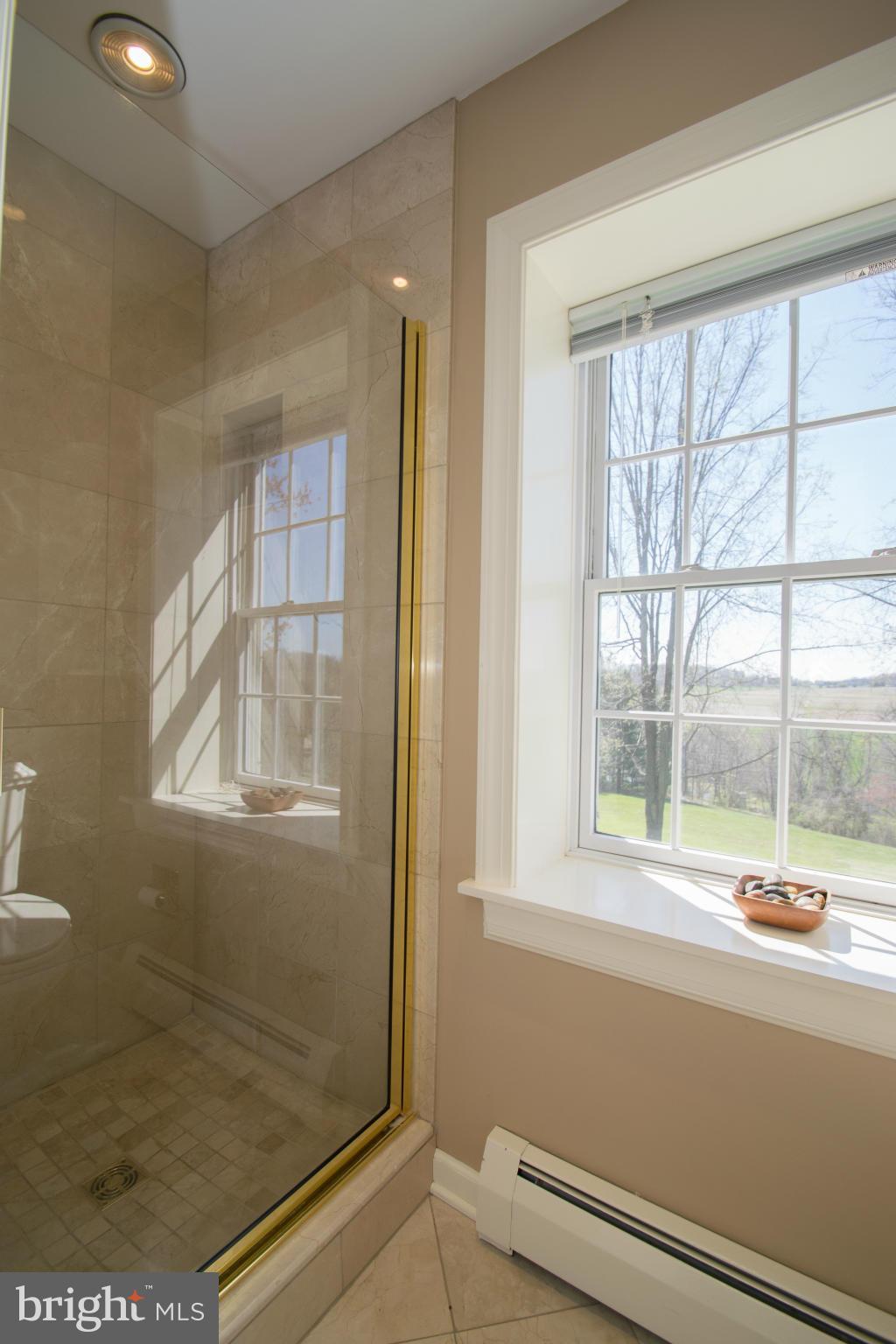5238 Buttermilk Road Pylesville, MD 21132 - Photo 20 of 30 Bath (Master)