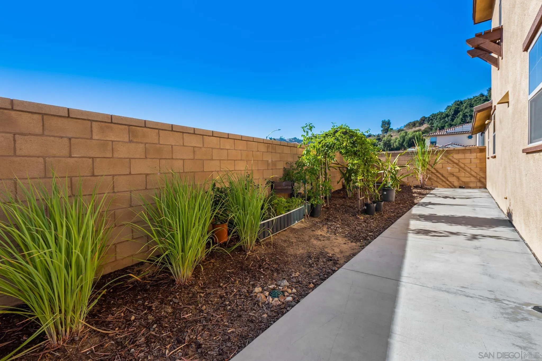 2401 Monroe Place Escondido, CA 92027 - Photo 5 of 23 a view of a potted plant in front of a building