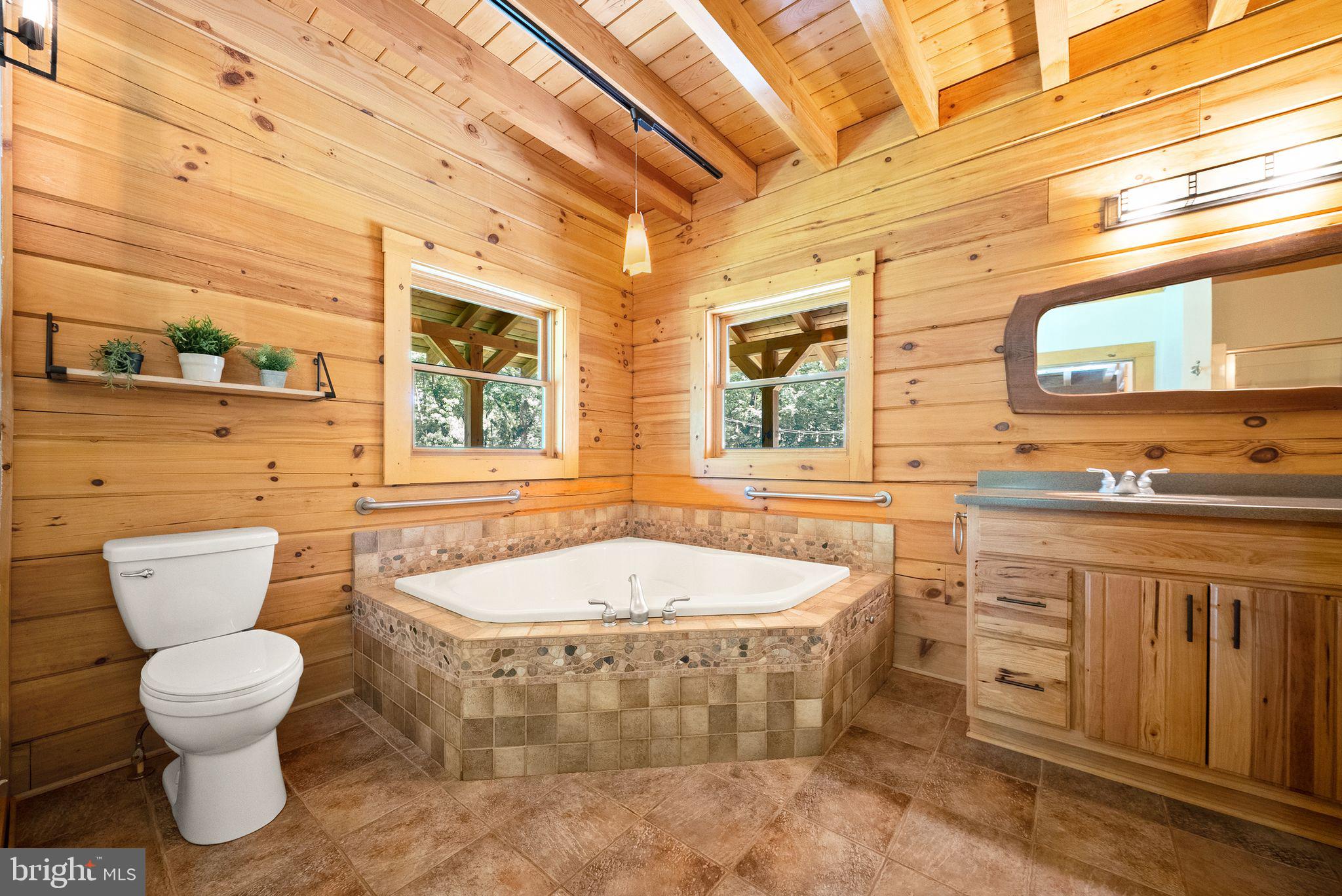 4020 Millwood Road Boyce, VA 22620 - Photo 36 of 132 Spa-inspired primary bath with soaking tub.