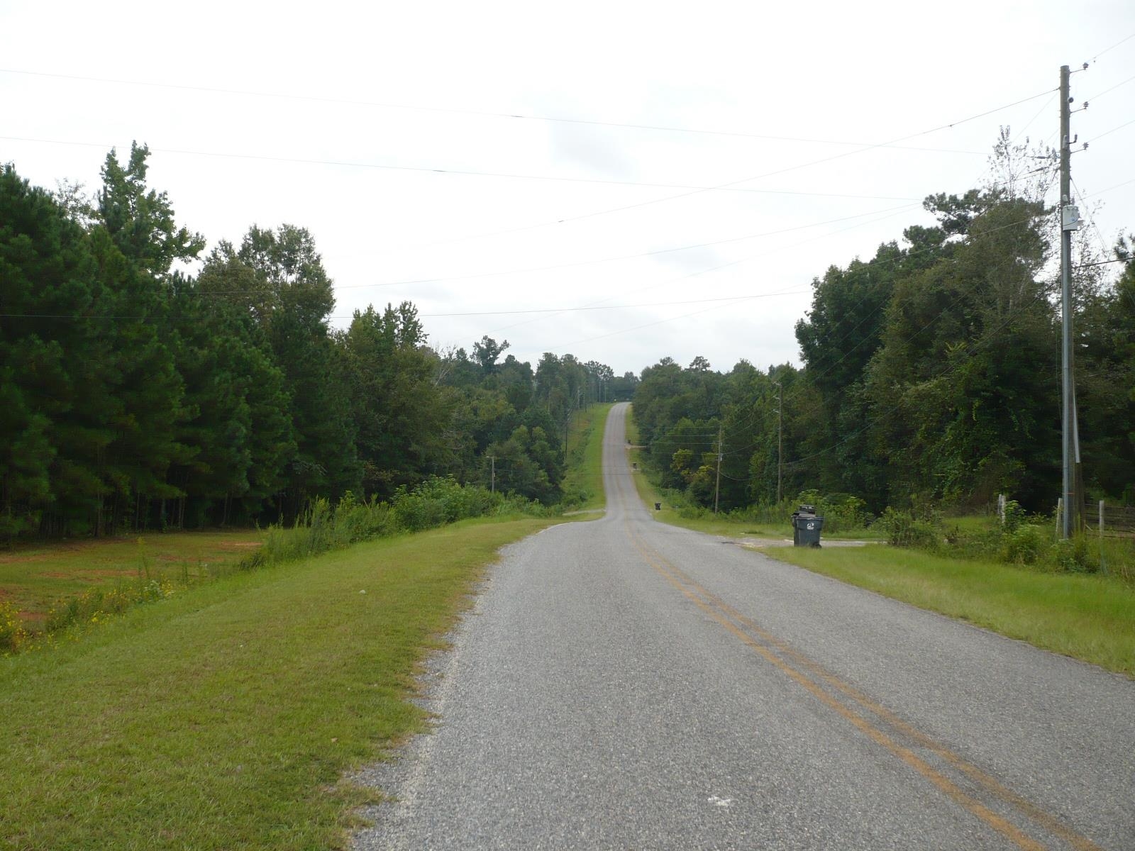 3.12-acres Cool Springs Road Fort Valley, GA 31030 - Photo 7 of 13