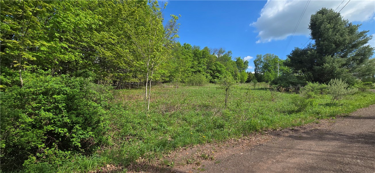 Adams Hill Road Hobart, NY 13788 - Photo 4 of 14 LOOKING NORTH NEAR BEGINNING OF PROPERTY