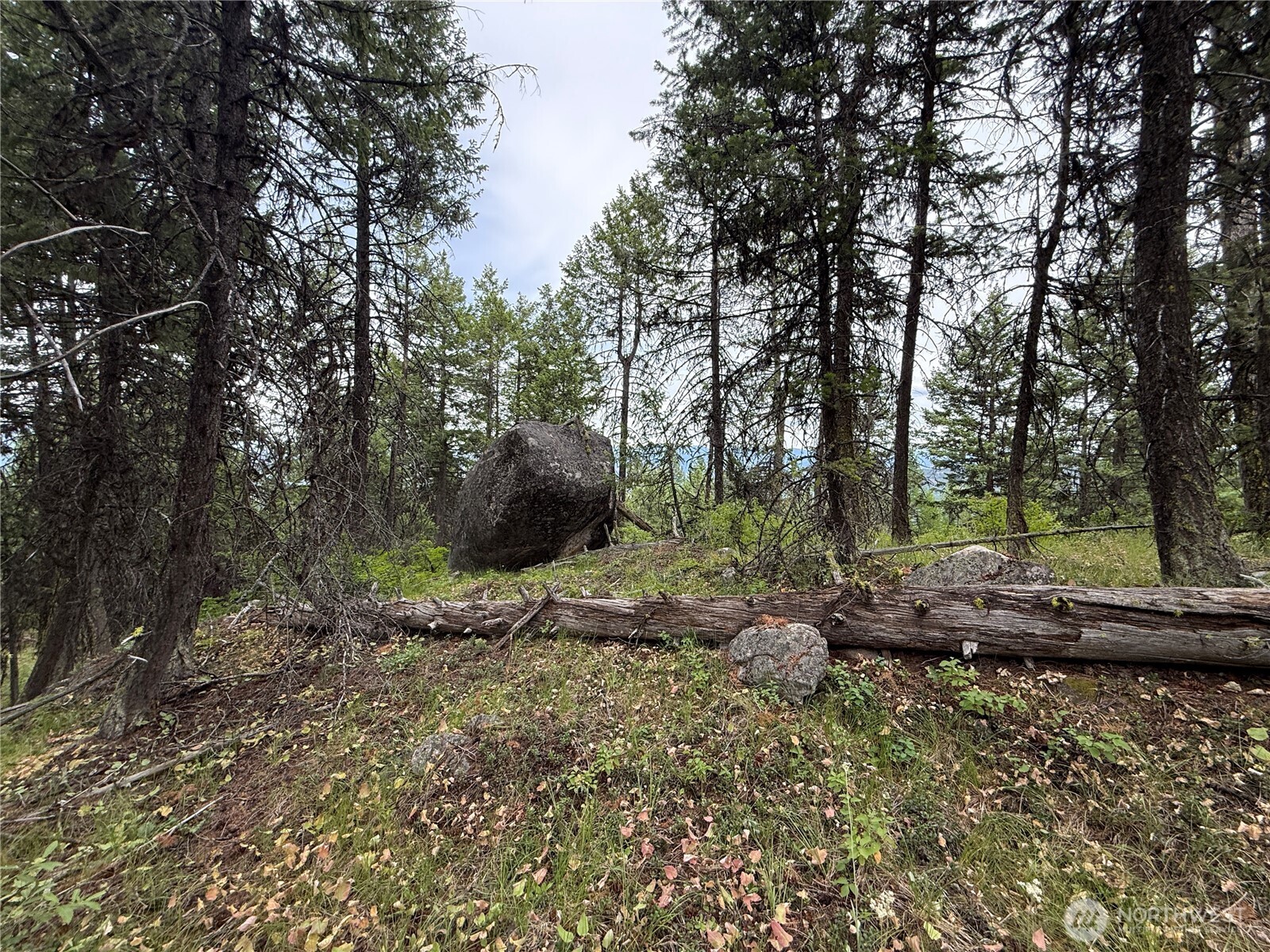 0 Mule Deer Road Republic, WA 99166 - Photo 14 of 20
